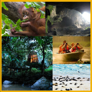 6 Days 5 Nights Sabah East Coast Wildlife Experience