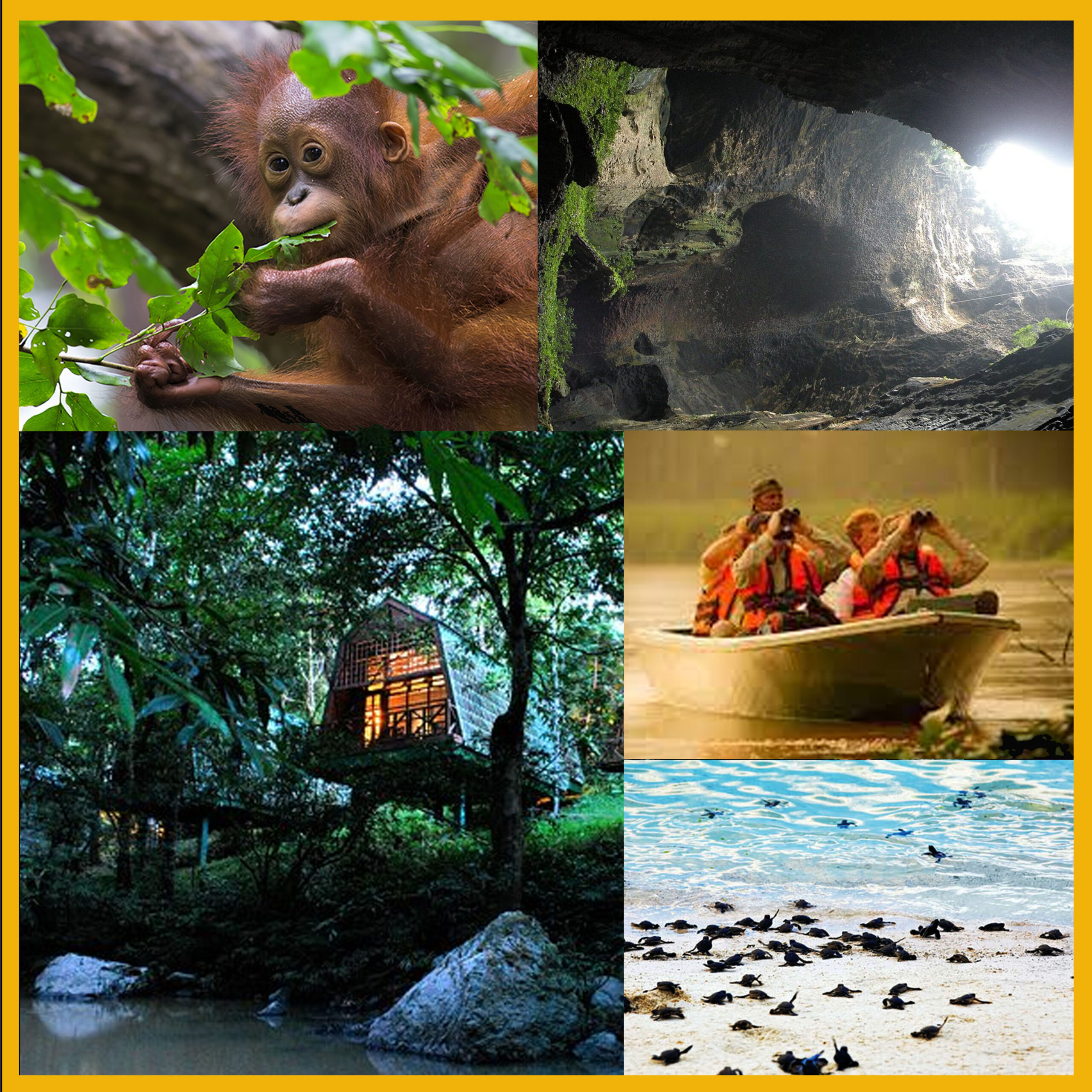 6 Days 5 Nights Sabah East Coast Wildlife Experience - Rejoice Tours ...