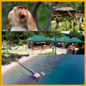 5 Days 4 Nights Sabah West Coast Nature Discovery