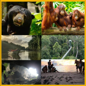 7 Days 6 Nights The Ultimate Sandakan Tour (Copy)